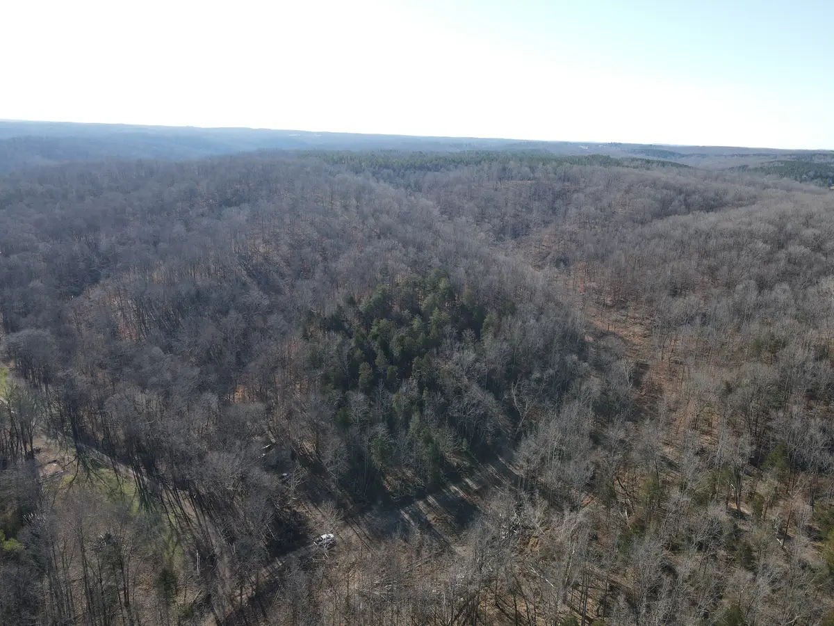 0 Busby Cemetery Lane, Stewart, TN 37175 - Image #1