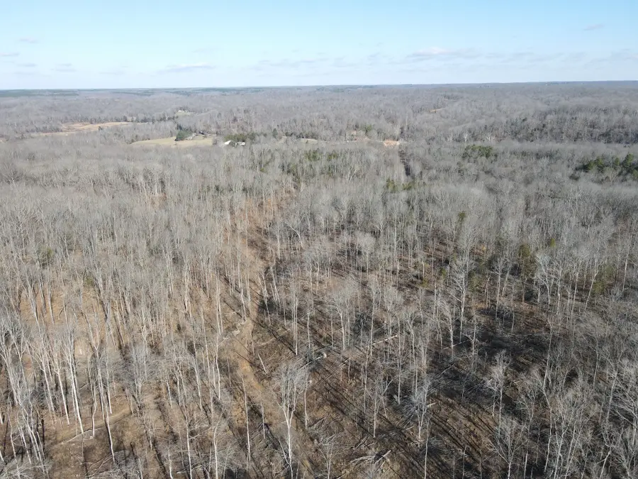 0 Busby Cemetery Lane, Stewart, TN 37175 - Image #3