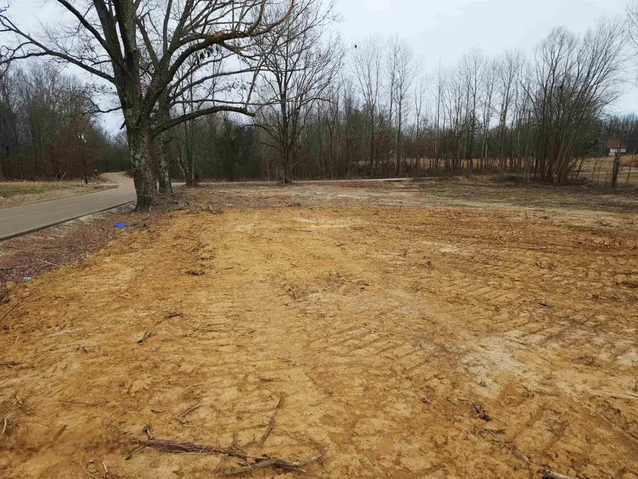 0 Brighton Clopton Rd, Brighton, TN 38011 - #2