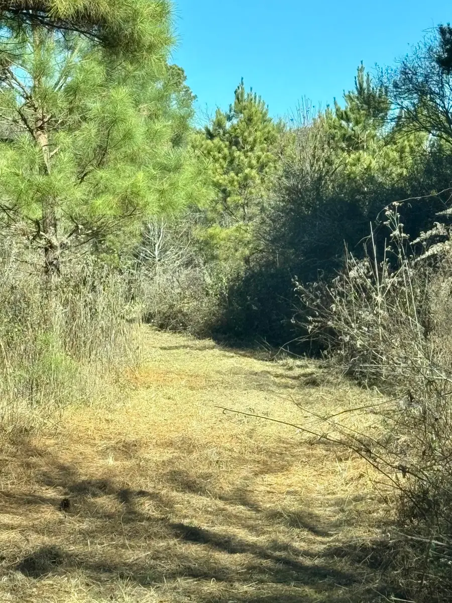 0 Kensington Road, Chickamauga, GA 30707 - #3