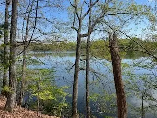 0 Canary Lane, Estill Springs, TN 37330