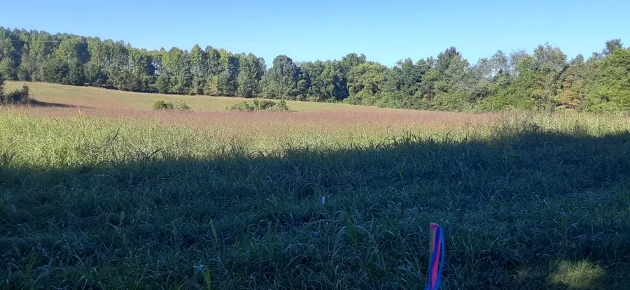 0 Holders Cove Rd, Winchester, TN 37398 - Image #3