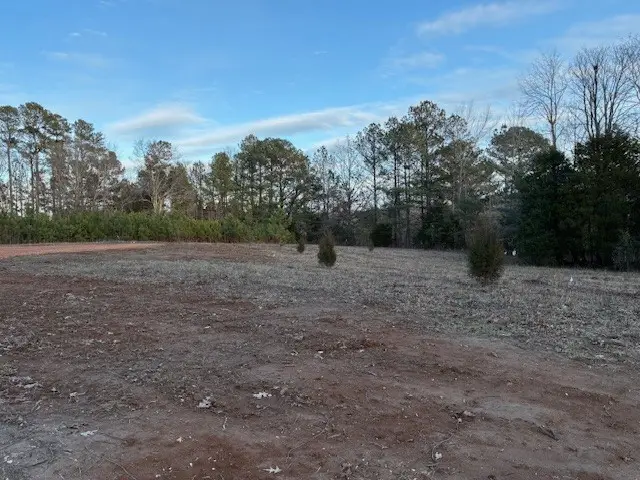 0 Old Union Rd, Paris, TN 38242 - #2