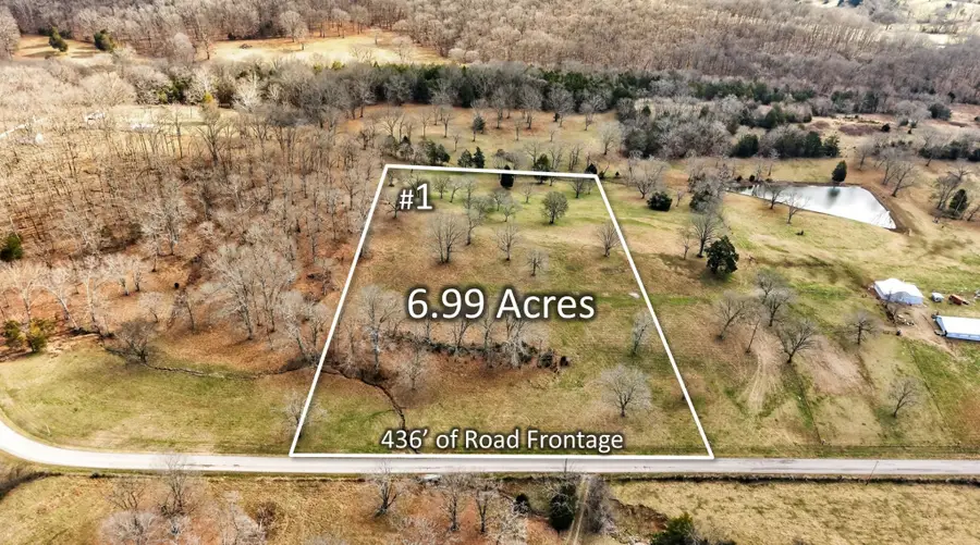 8 Collier Lane, Gallatin, TN 37066 - #3