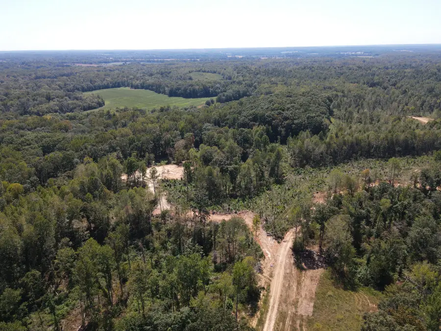 0 Copper Spring Road, Springville, TN 38256 - #3