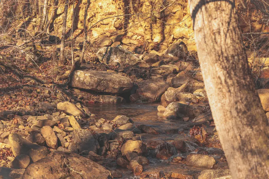 3211 Old State Highway 28, Dunlap, TN 37327 - #3