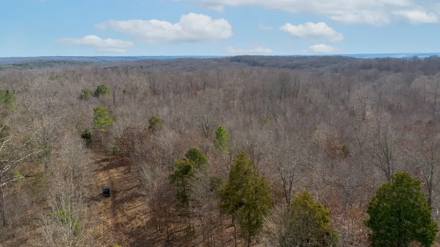 1 Olde Tennessee Trail, Springville, TN 38256 - #3