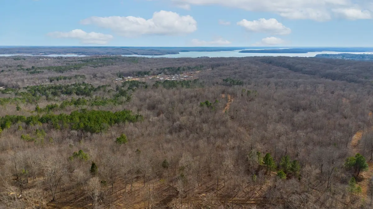 2 Olde Tennessee Trail, Springville, TN 38256 - #1