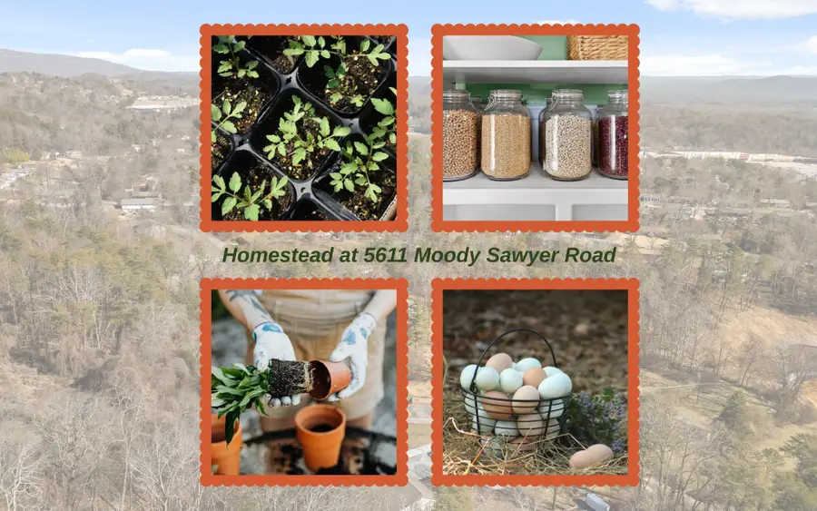 5611 Moody Sawyer Road, Hixson, TN 37343 - Image #3