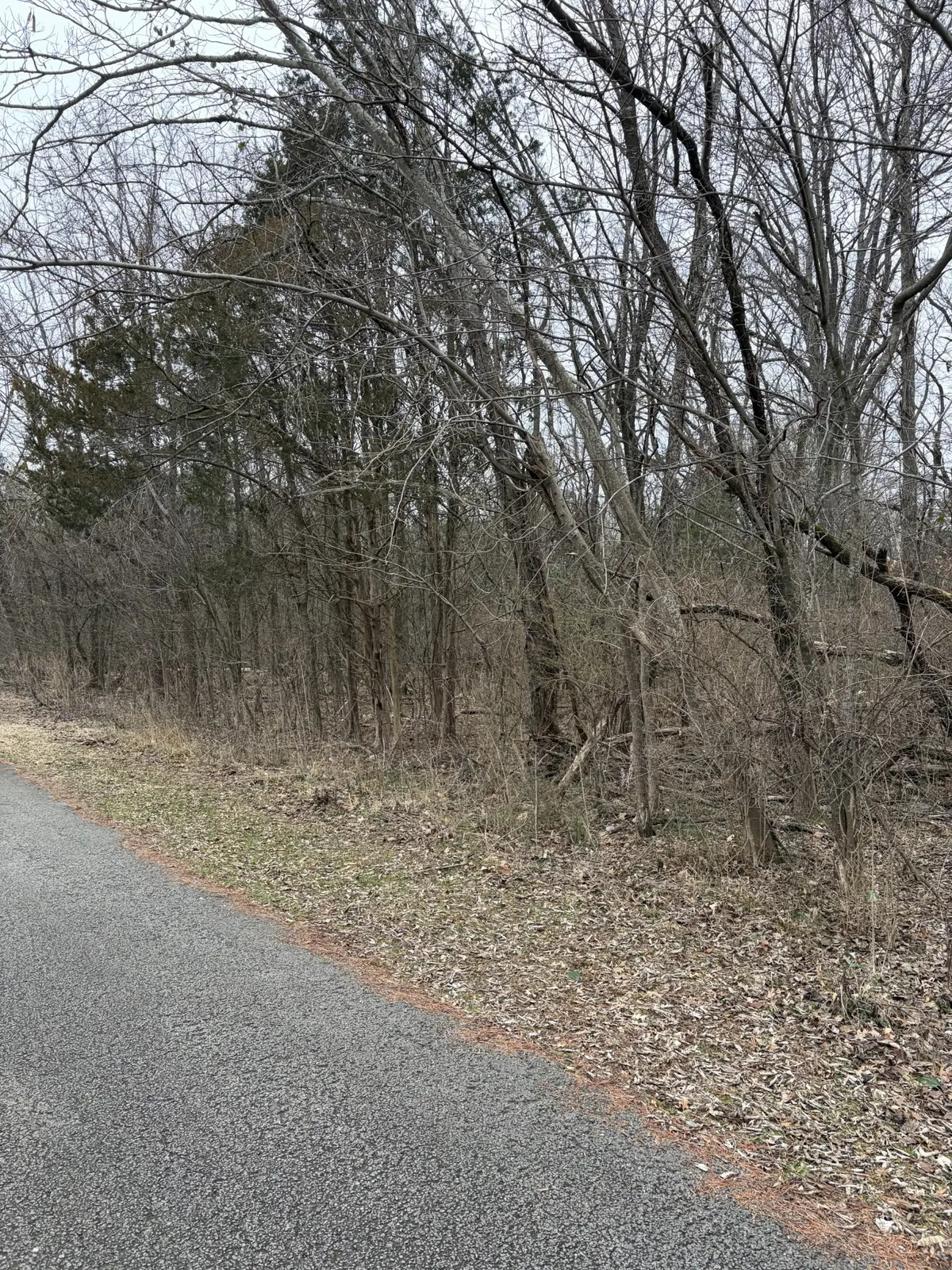 0 Dixie Ln, Murfreesboro, TN 37129 - #1