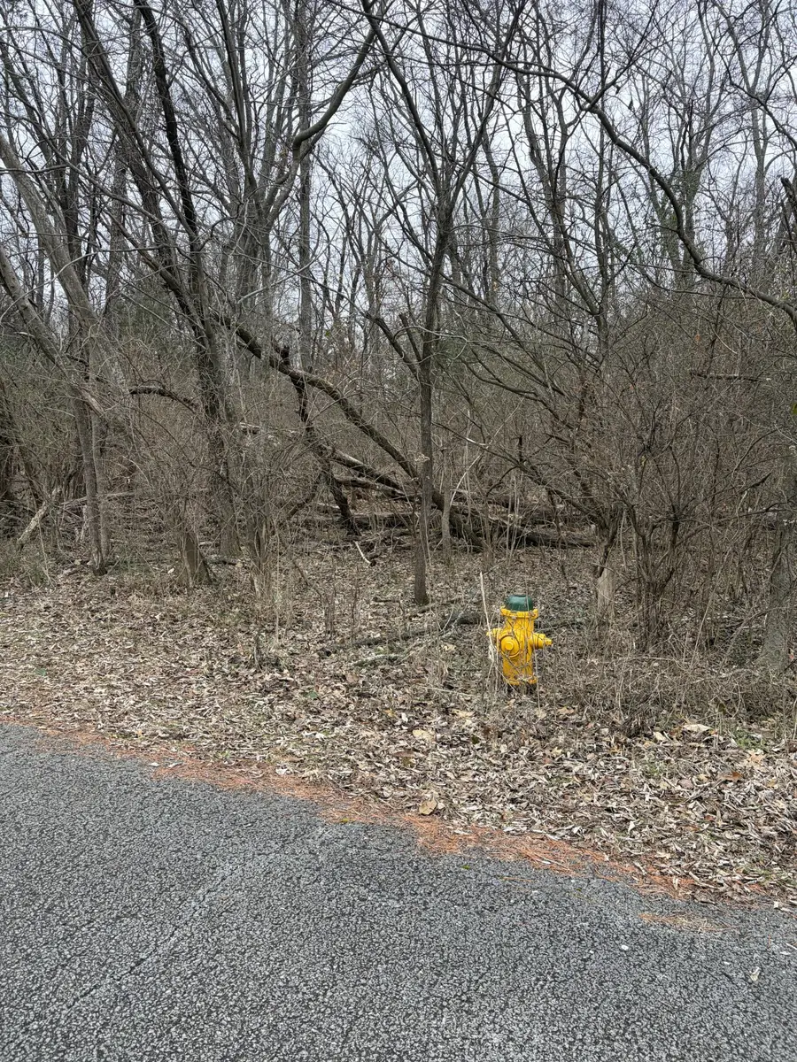 0 Dixie Ln, Murfreesboro, TN 37129 - #2