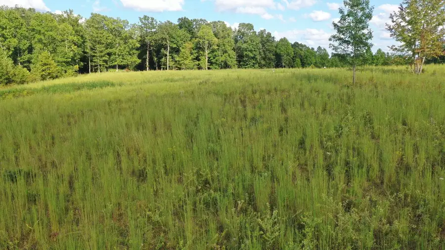 0 Freedom Ridge Lot 36, Indian Mound, TN 37079 - #2