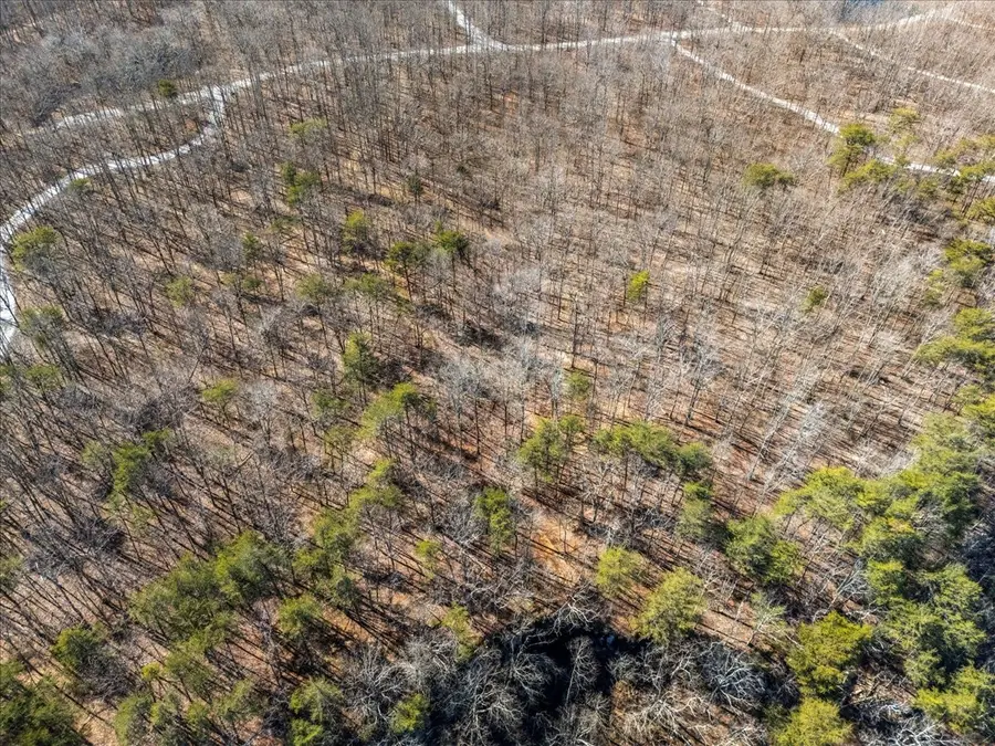 0 Bridal Veil South, Monteagle, TN 37356 - #2