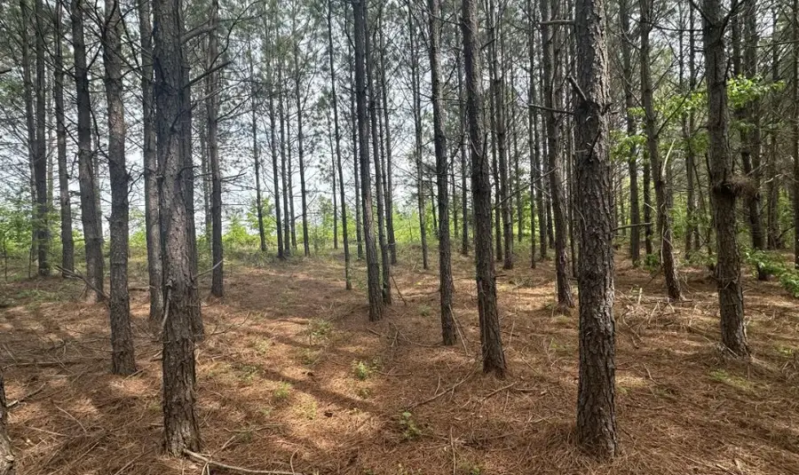 18 Maple Road, Stewart, TN 37175 - #3