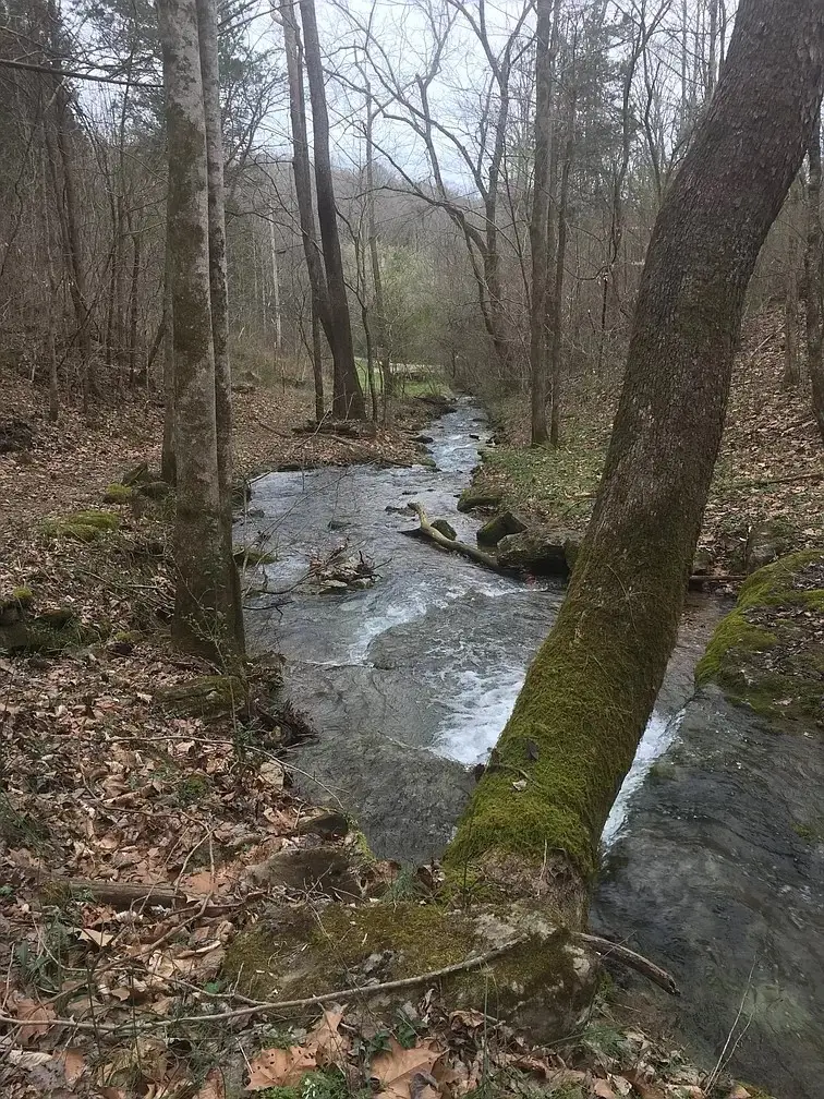 0 Old Highway 31e, Westmoreland, TN 37186 - Image #3