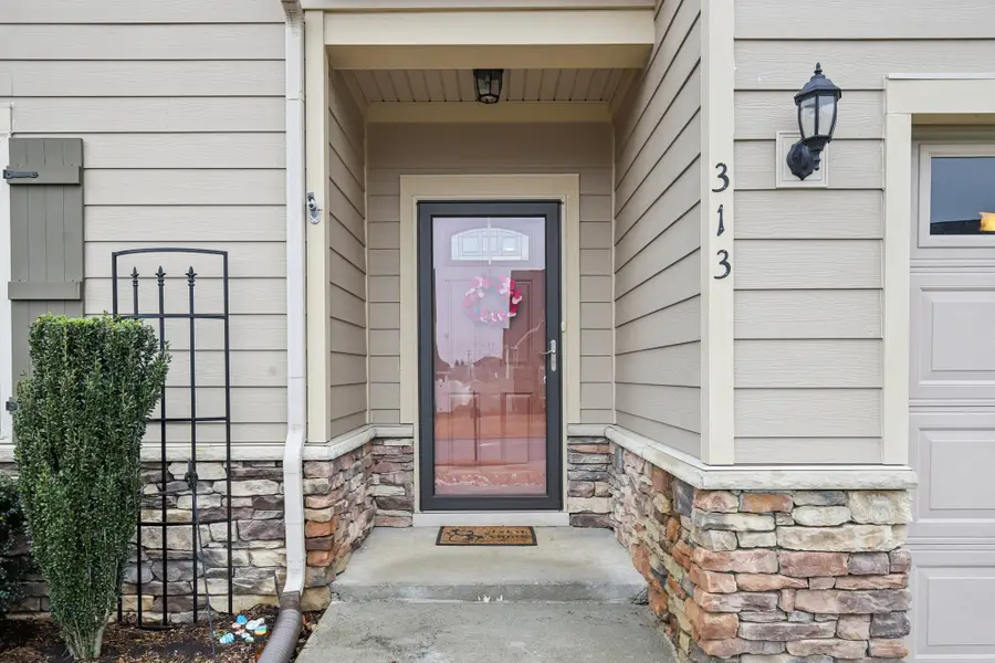 313 Mahubah Run, Smyrna, TN 37167 - Image #3