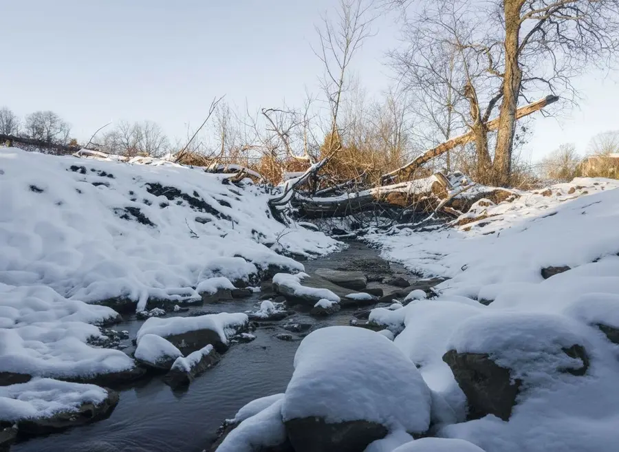 3016 Blythe Meadow Ln, Arrington, TN 37014 - #3