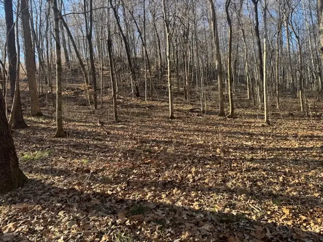 0 Jacobs Rd, Columbia, TN 38401 - #2