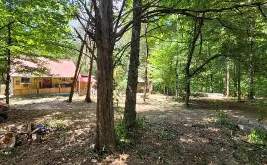 7992 Primm Springs Rd, Primm Springs, TN 38476 - #2