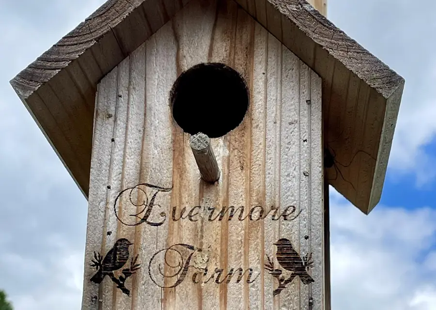 2208 Poe Road, Soddy Daisy, TN 37379 - #2