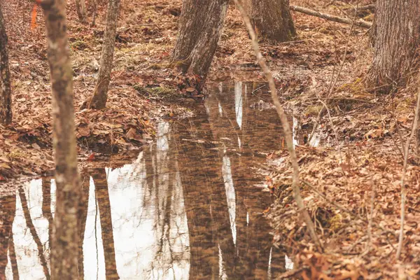 1555 Palmer Firetower Road, Palmer, TN 37365