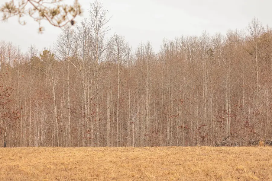 1555 Palmer Firetower Road, Palmer, TN 37365 - #3