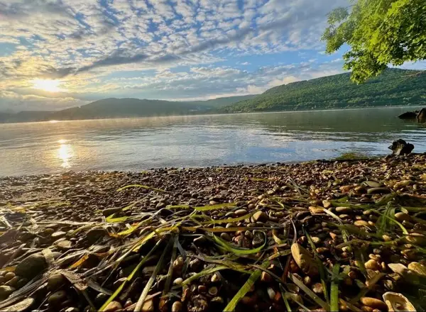 0 Admiral Court, Jasper, TN 37347