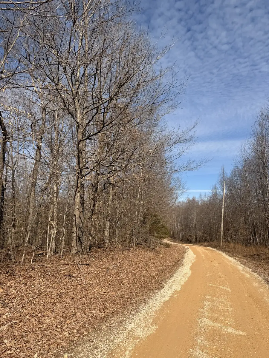 0 Tonya Trail, Cumberland Furnace, TN 37051 - #2