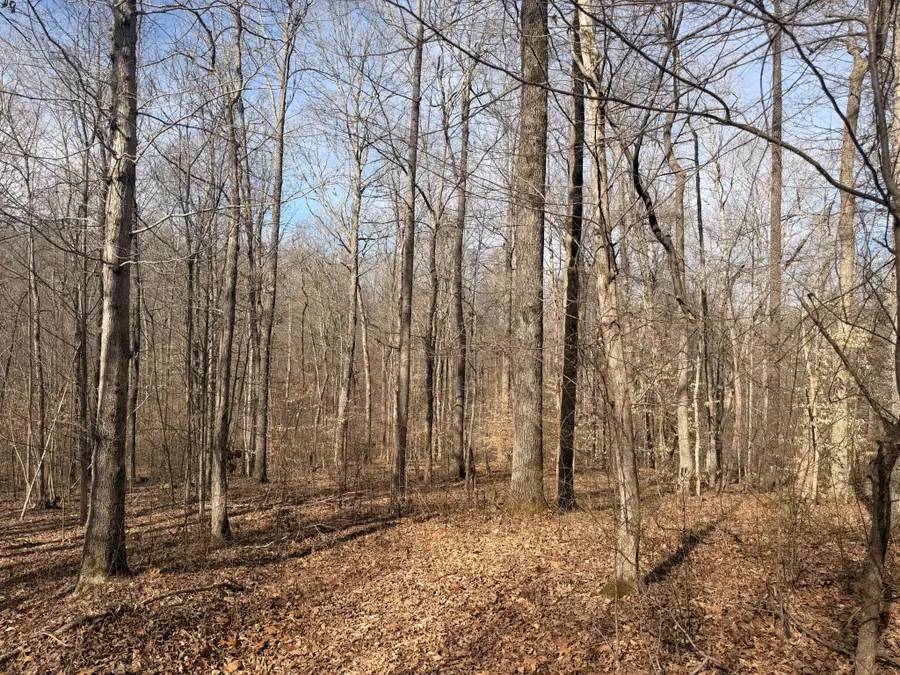 0 Tonya Trail, Cumberland Furnace, TN 37051 - #3