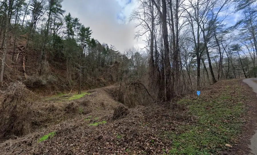 4200 S King Branch Rd, Sevierville, TN 37876 - Image #2