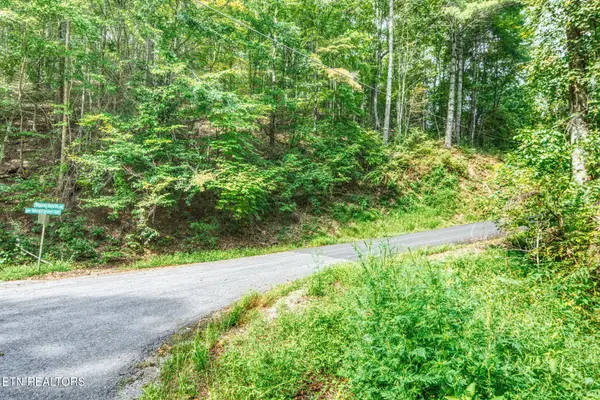 0 Lot 10 Stepping Stone Drive, Sevierville, TN 37862