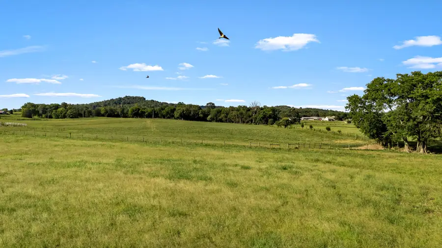 0 Cheese Rd, Petersburg, TN 37144 - #3