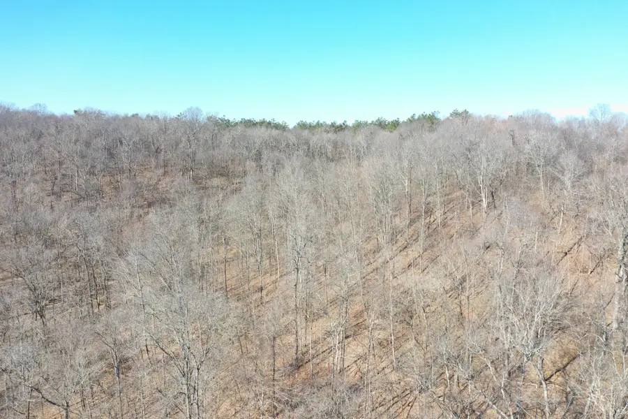 0 Dog Branch Rd, Mount Pleasant, TN 38474 - #3