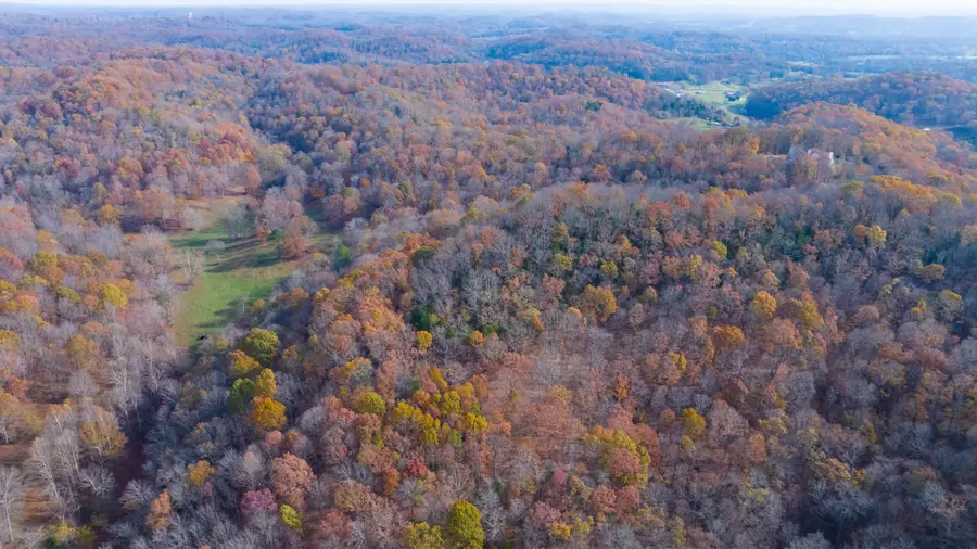 14 Brazier Drive, Gallatin, TN 37066 - Image #3