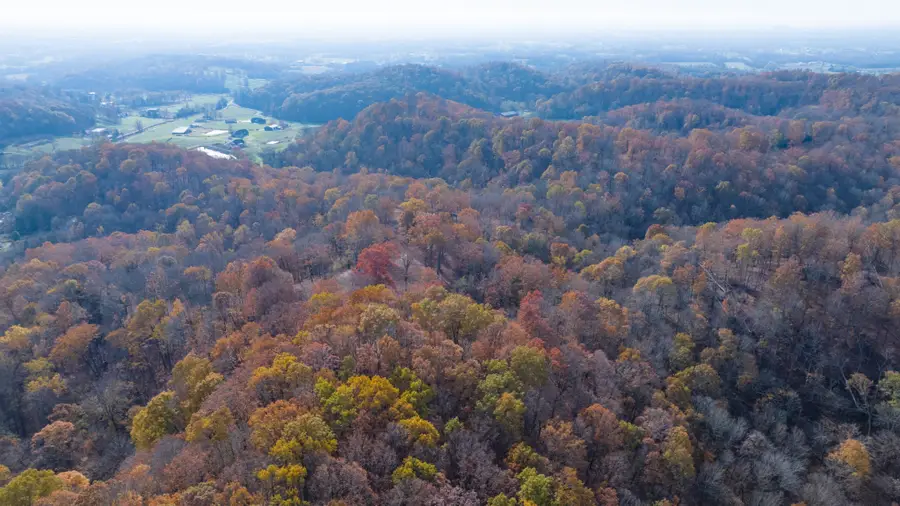 10 Brazier Lane, Gallatin, TN 37066 - Image #3