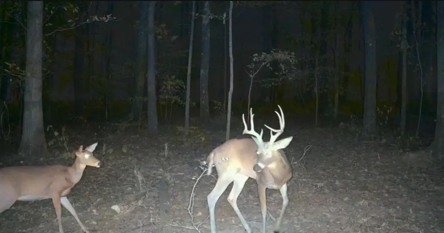 123 Rock Bridge Rd, Bethpage, TN 37022 - #2