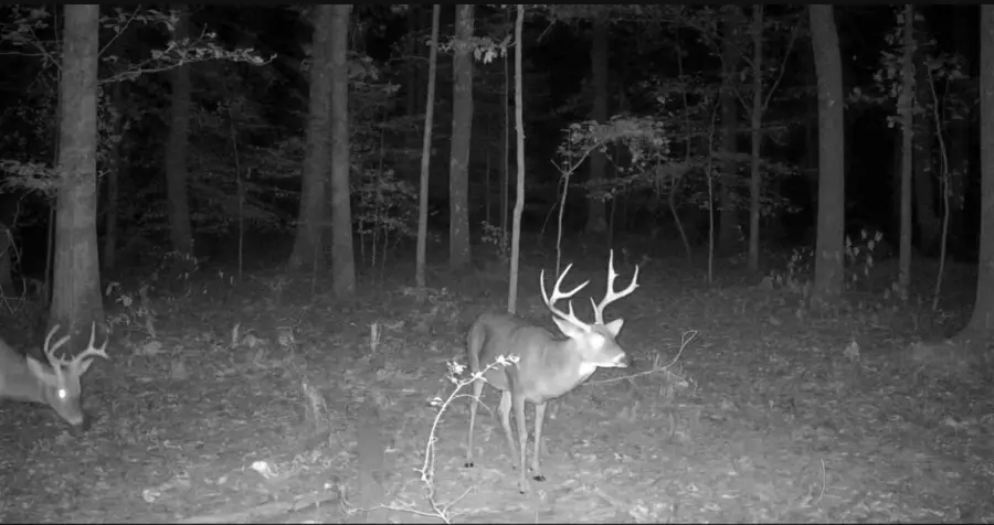 123 Rock Bridge Rd, Bethpage, TN 37022 - #3