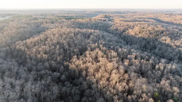 0 Pinewood Road, Nunnelly, TN 37137