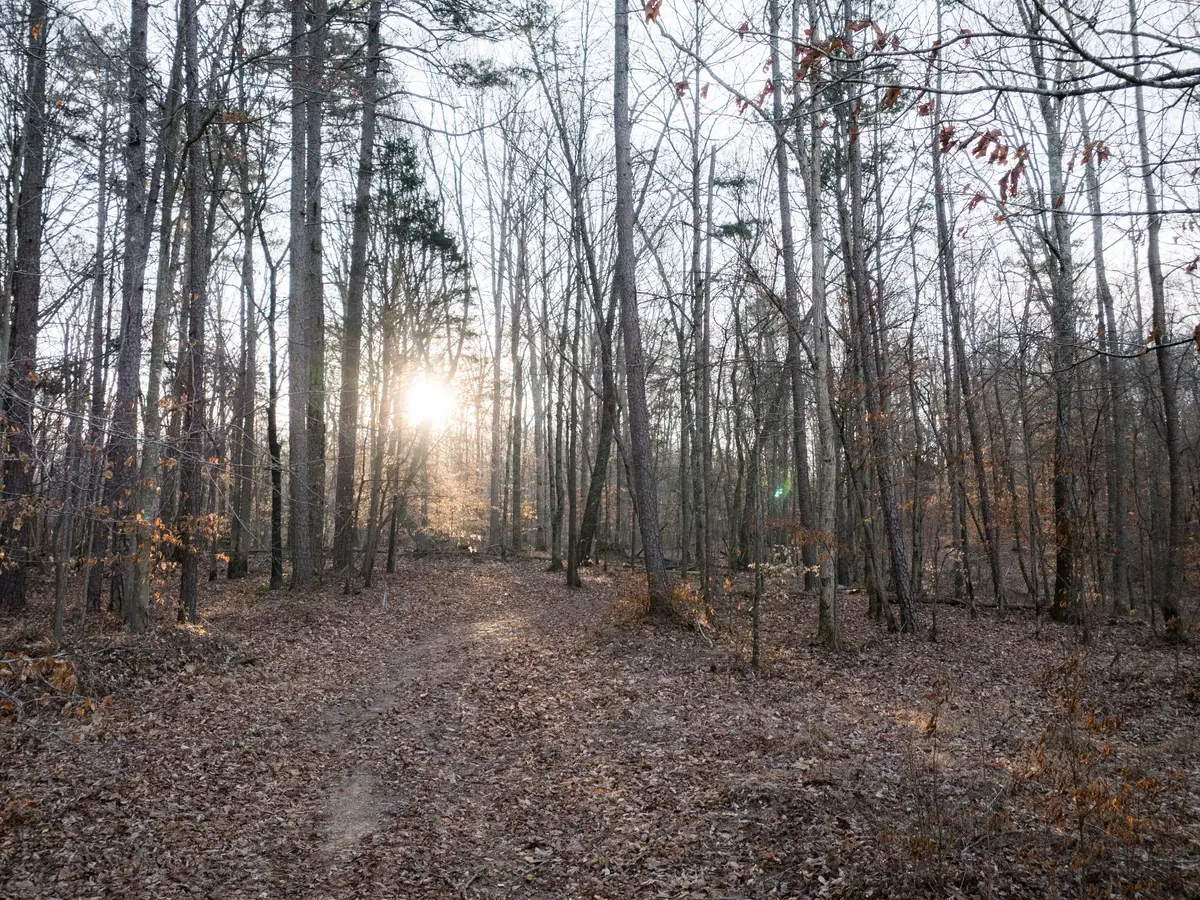 2 Pinewood Road, Nunnelly, TN 37137 - #1