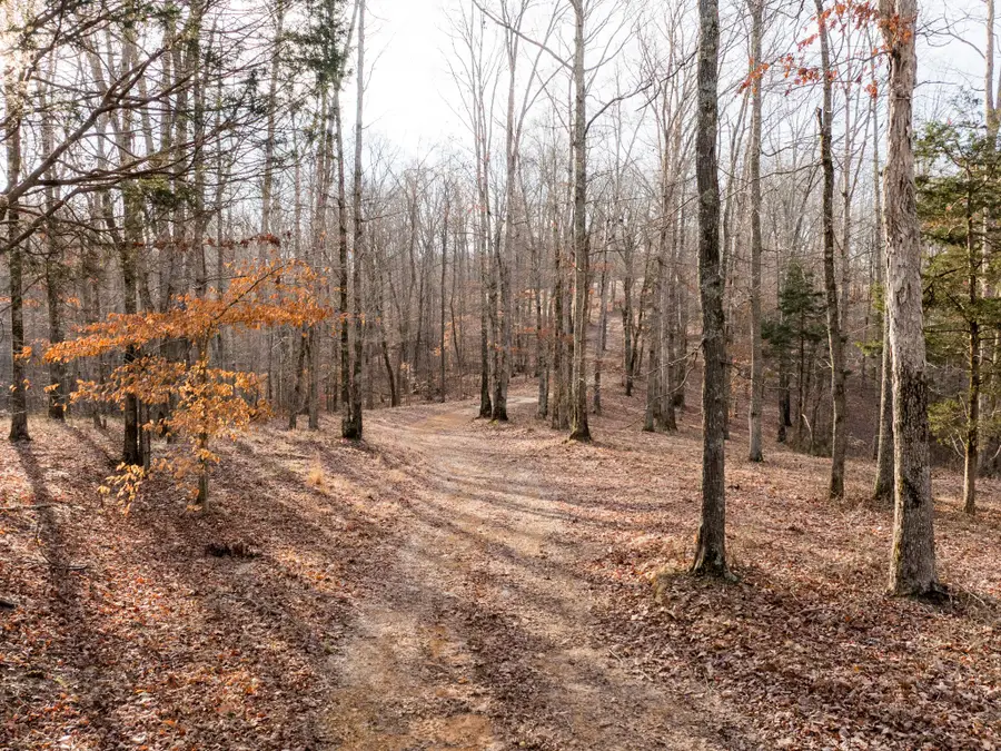 0 Pinewood Road, Nunnelly, TN 37137 - #2