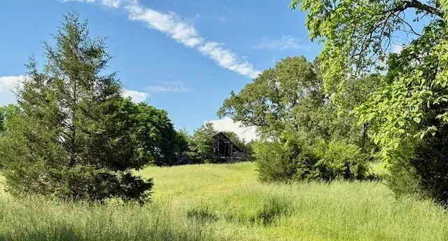 1 Topsy Store Rd, Waynesboro, TN 38485 - #1