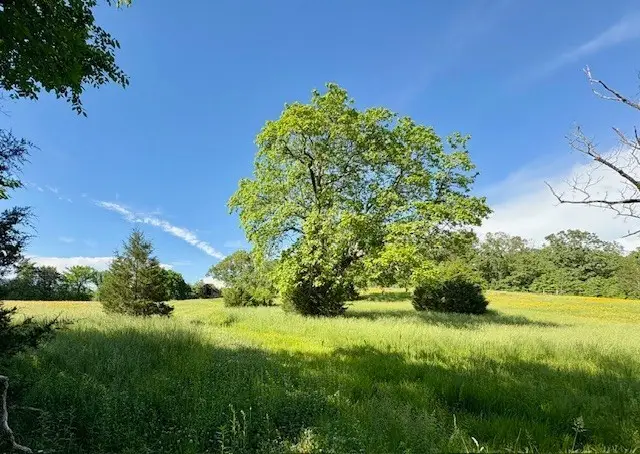 1 Topsy Store Rd, Waynesboro, TN 38485 - #2