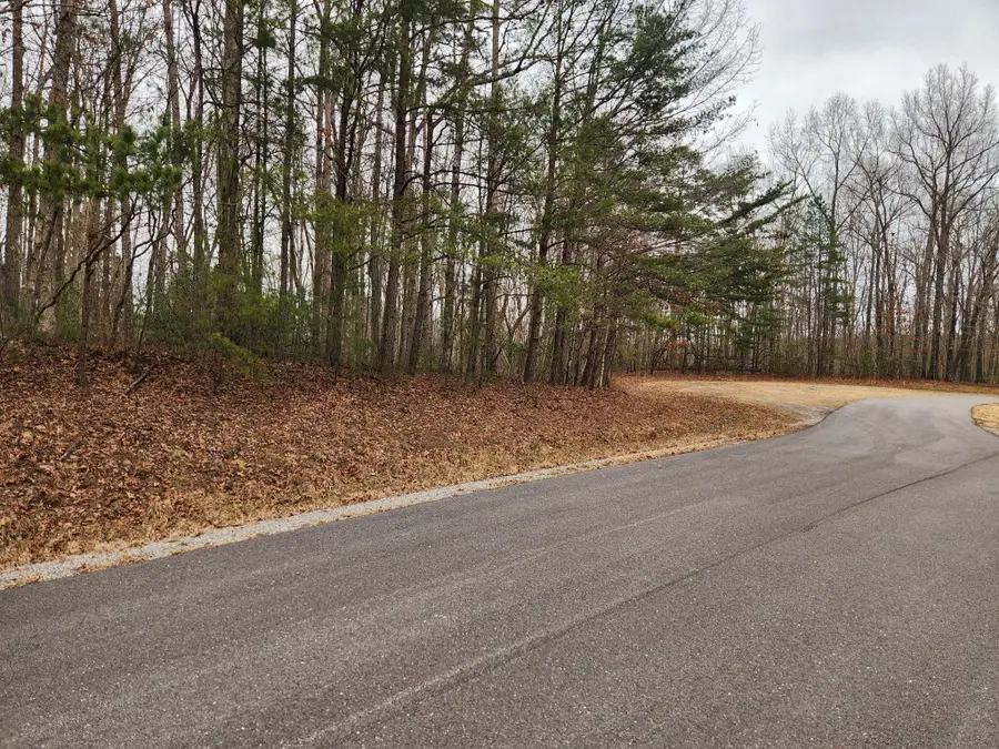 0 Blueberry Pt, Monterey, TN 38574 - #2