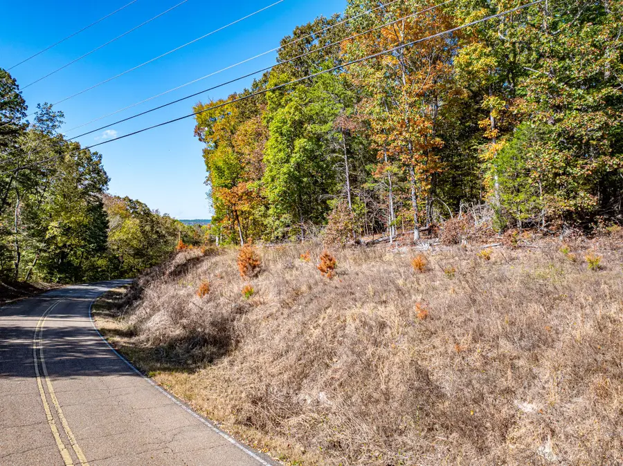 0 Streaming Water Loop, Clifton, TN 38425 - #2