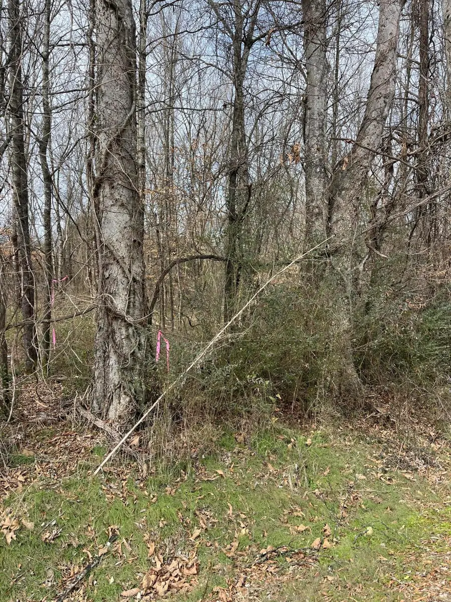 2 Tennessee 304, Decatur, TN 37322 - #2