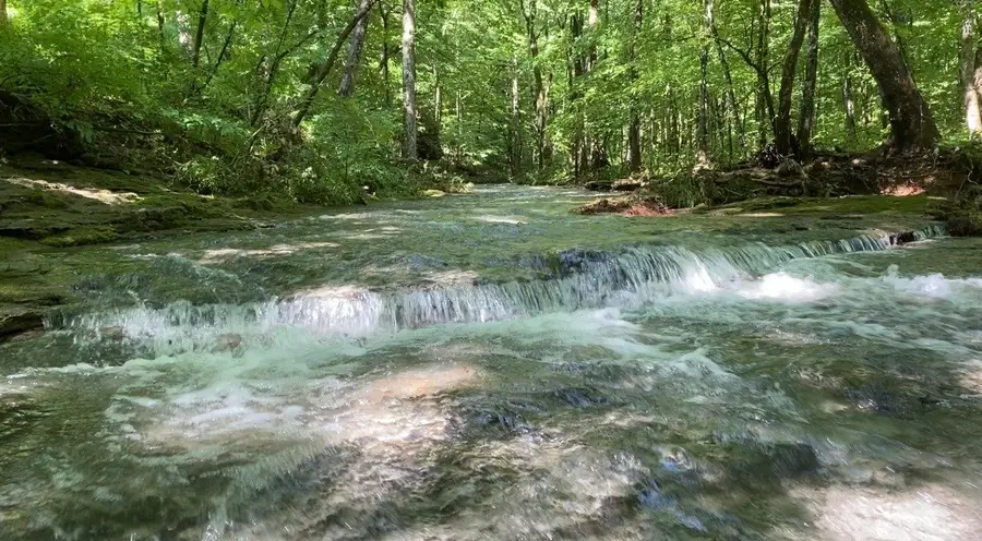 925 Bumpas Rd, Lawrenceburg, TN 38464 - #3