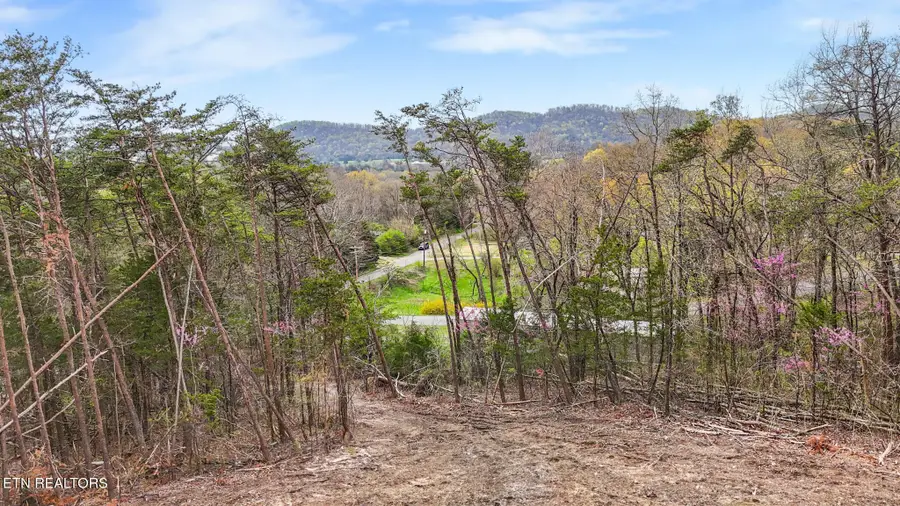 9 Reed Bull Rd, New Market, TN 37820 - #2