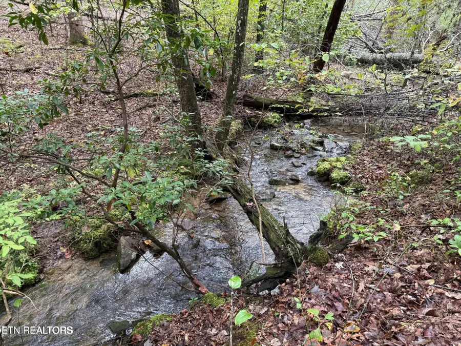 0 White Oak Rd, Monterey, TN 38574 - #2