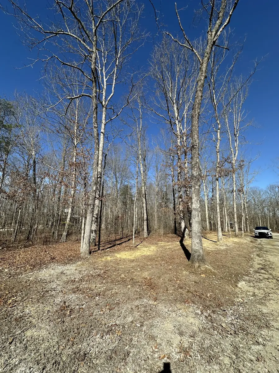 222 Sunset Bluff Way, Monteagle, TN 37356 - #3