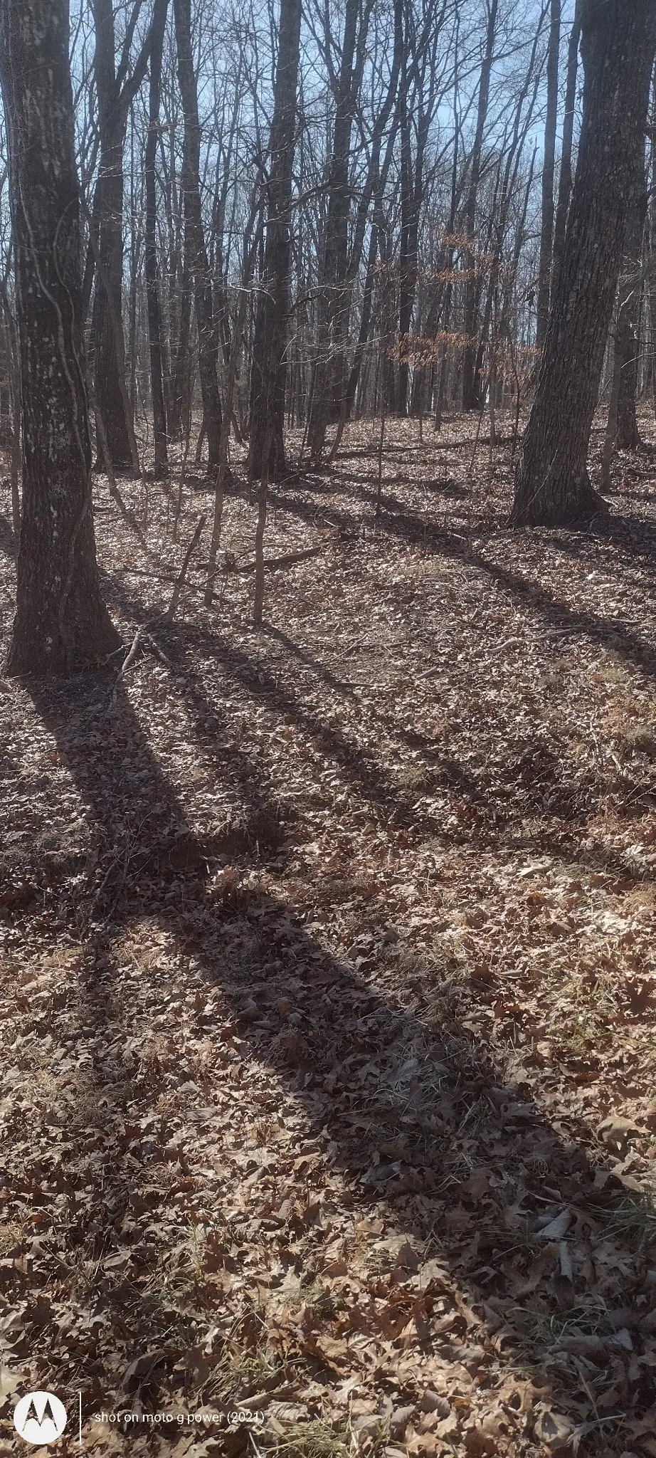 1 Ridge Cliff Drive, Monteagle, TN 37356 - #1